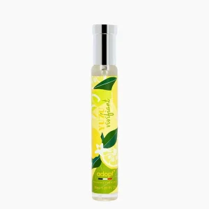 Store Adopt Yuzu Vivant